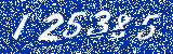 Capcha image
